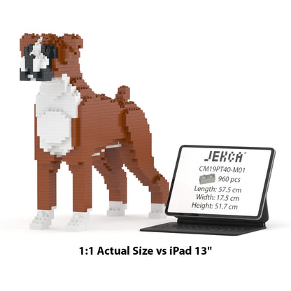 Boxer 01-M01