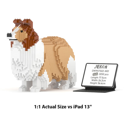 Pastor de las islas Shetland 02-M01