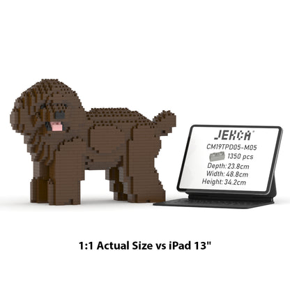 Caniche nain 05-M05