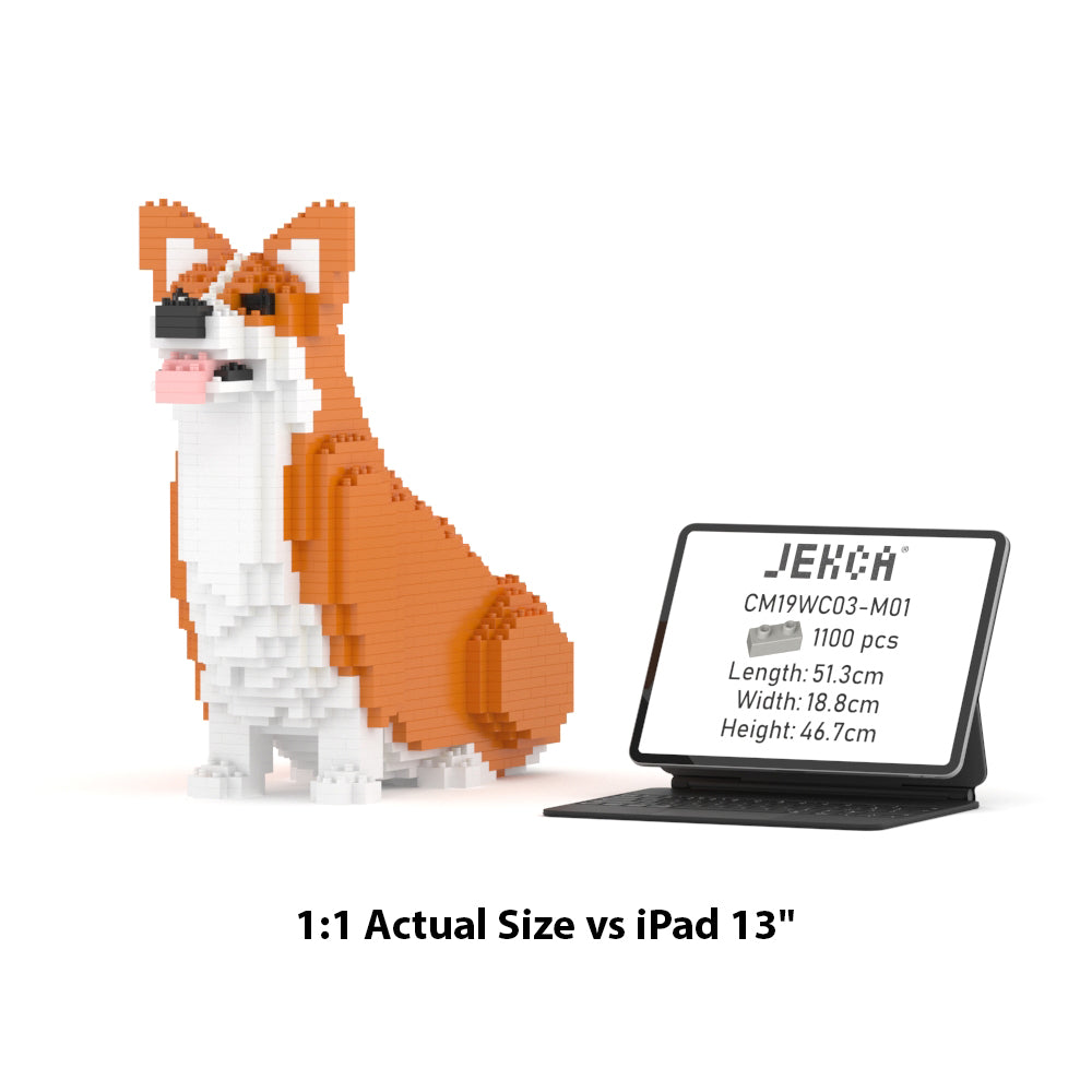 Corgi galés 03-M01