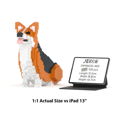 Corgi gallois 03-M02