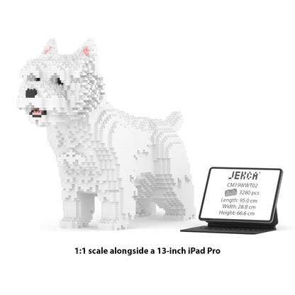 West Highland White Terrier 02