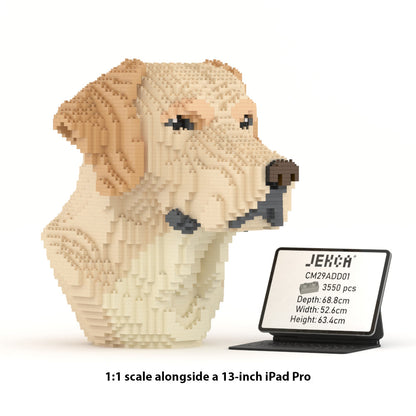Labrador Bust 01