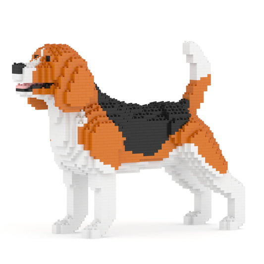 Beagle 03