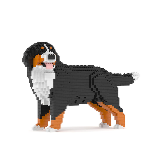 Bernese Mountain Dog 03B (version 2024)