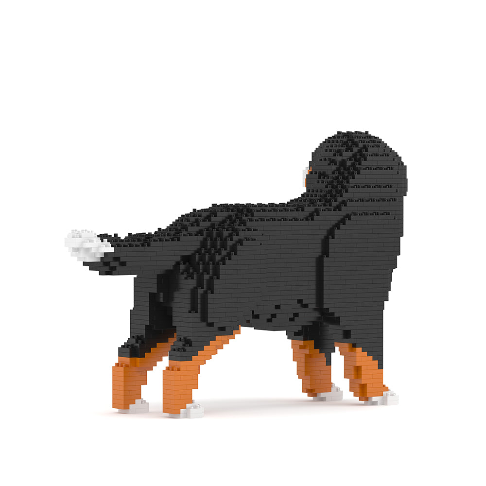 Bernese Mountain Dog 03B