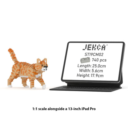 Chat Tigré Orange Mini 01