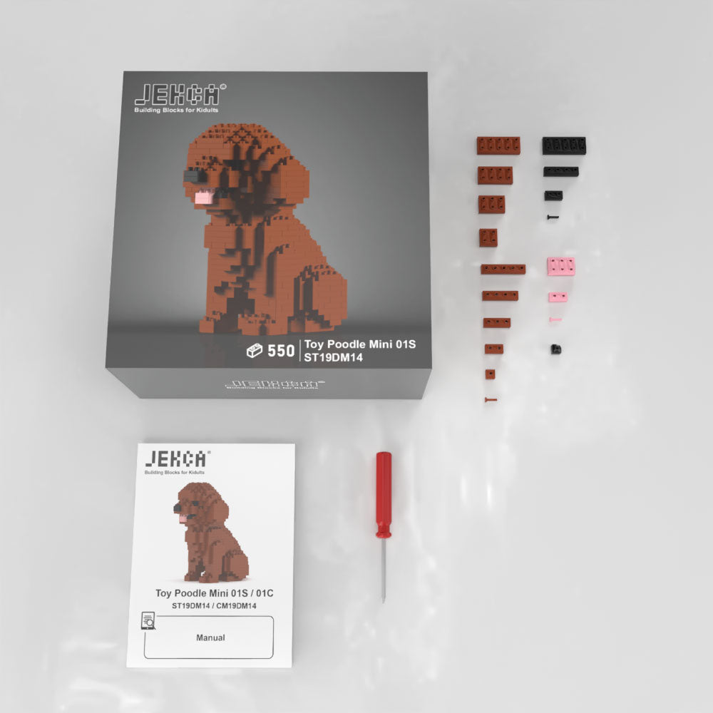 Toy Poodle Mini 01
