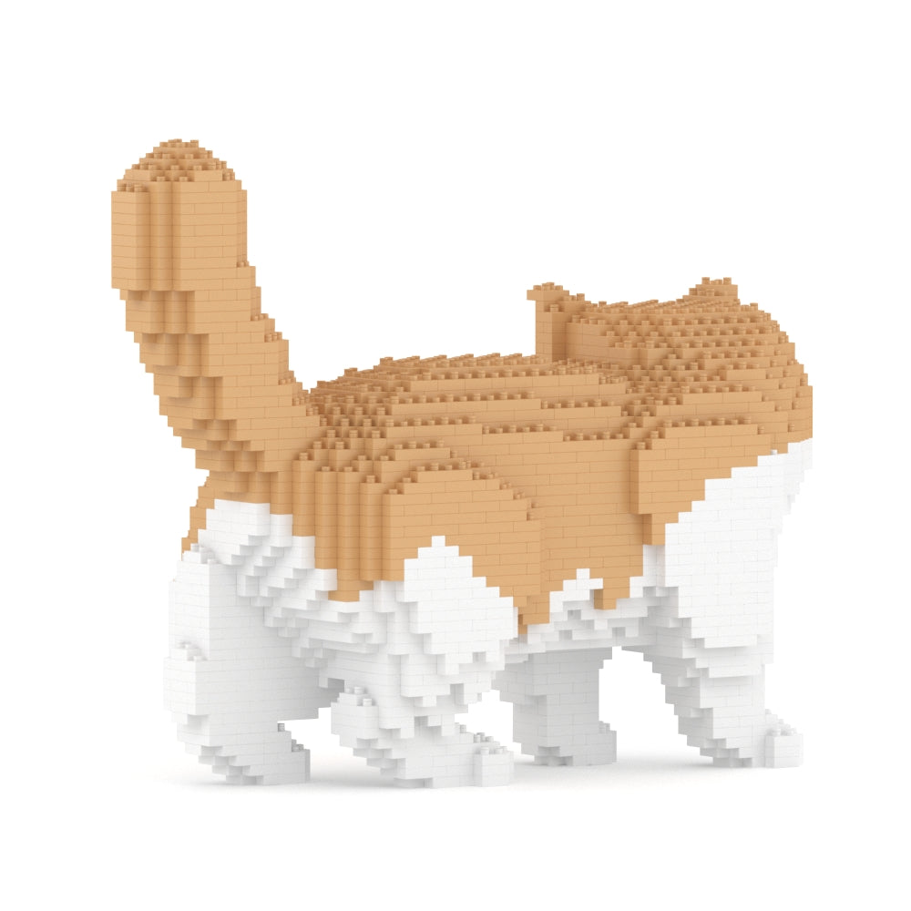 Gato exótico de pelo corto 01S-M01