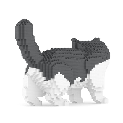 Gato exótico de pelo corto 01S-M02