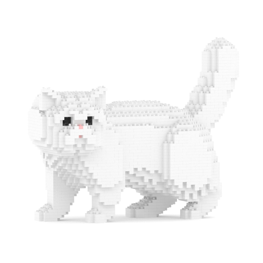 Gato exótico de pelo corto 01S-M03