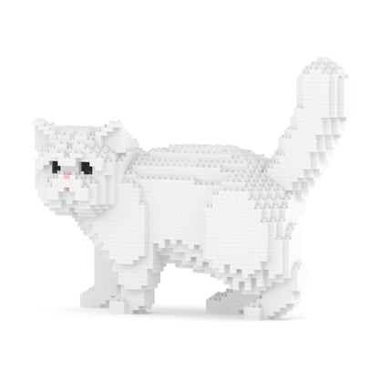 Gato exótico de pelo corto 01S-M03