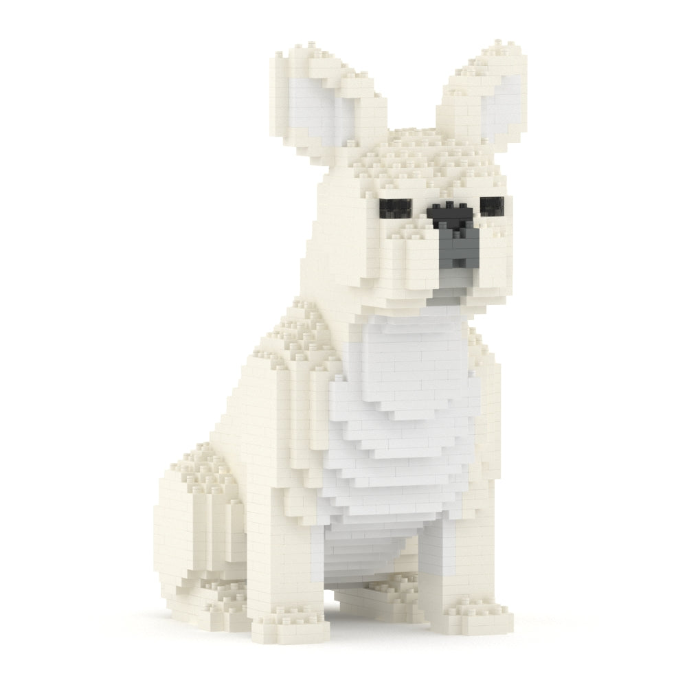 French Bulldog 04-M02