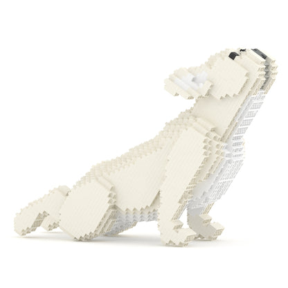 French Bulldog 05-M02
