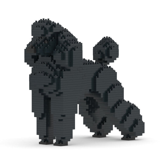 Standard Poodle 01-M01