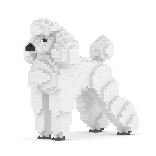 Standard Poodle 01-S01