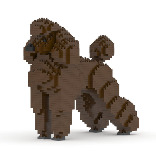 Standard Poodle 01-S11
