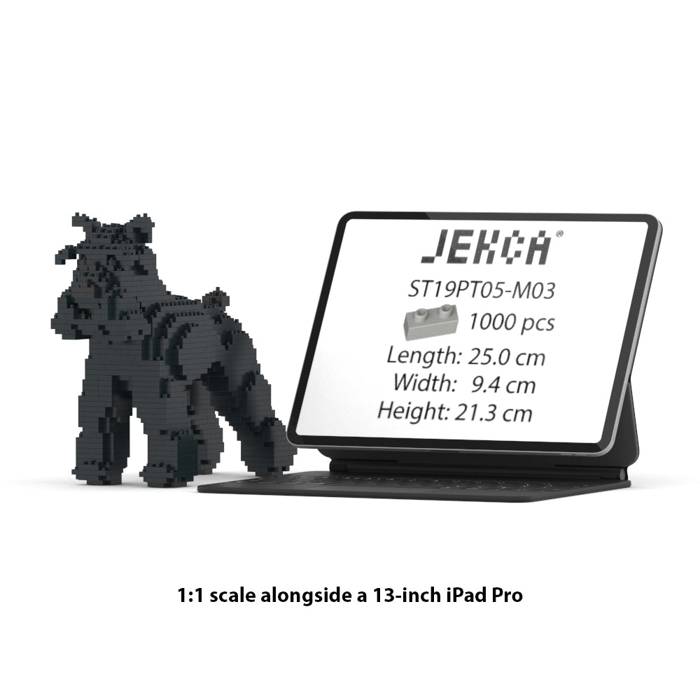 Standard Schnauzer 01-M03