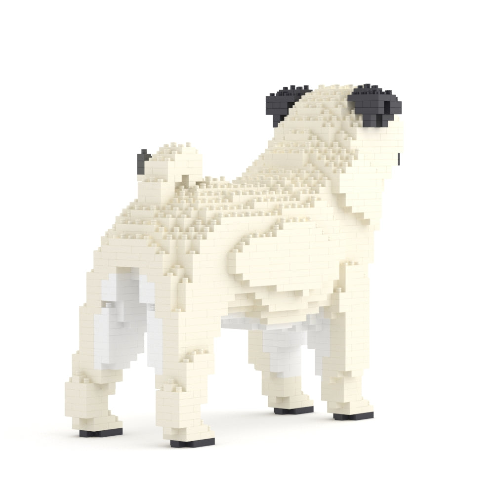 Pug 01-M03