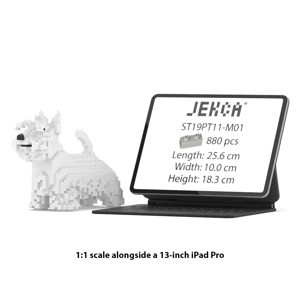 Scottish Terrier 01-M02