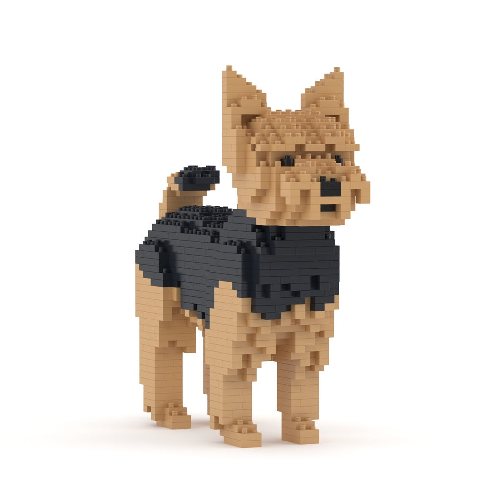 Yorkshire Terrier 01