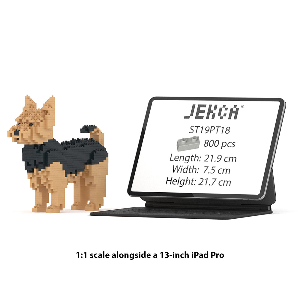 Yorkshire Terrier 01
