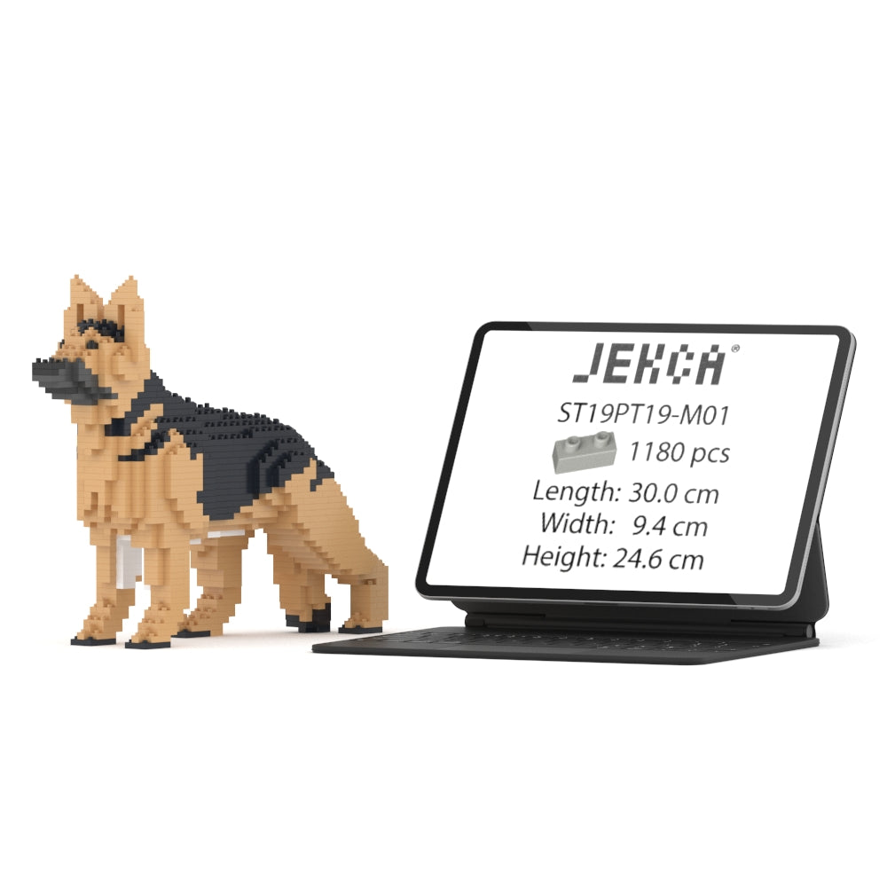 German Shepherd 01-M01