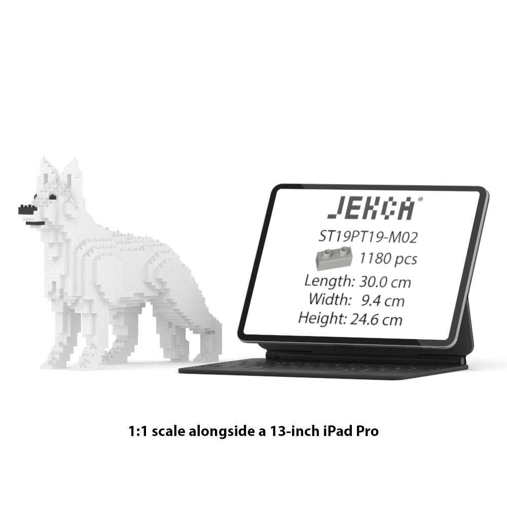 German Shepherd 01-M02