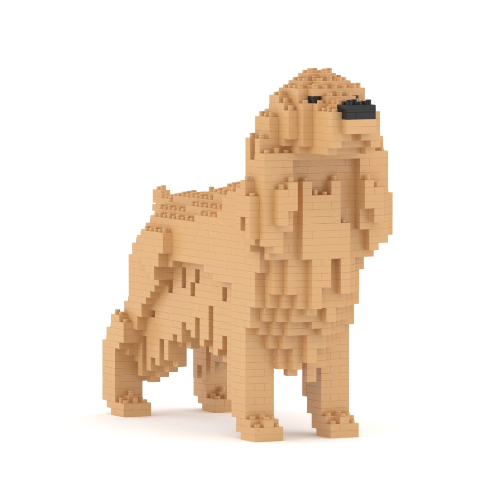 English Cocker Spaniel 01-M01