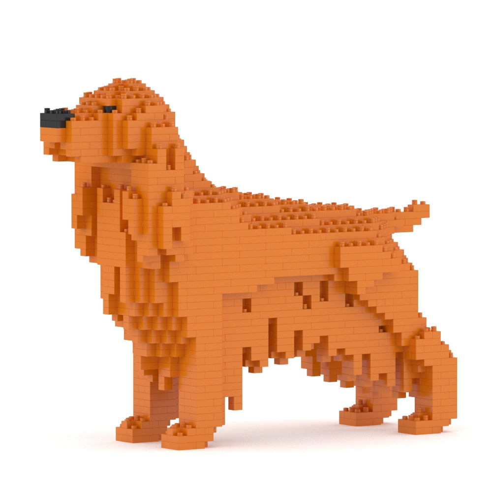 English Cocker Spaniel 01-M03