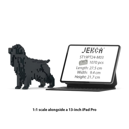 English Cocker Spaniel 01-M02