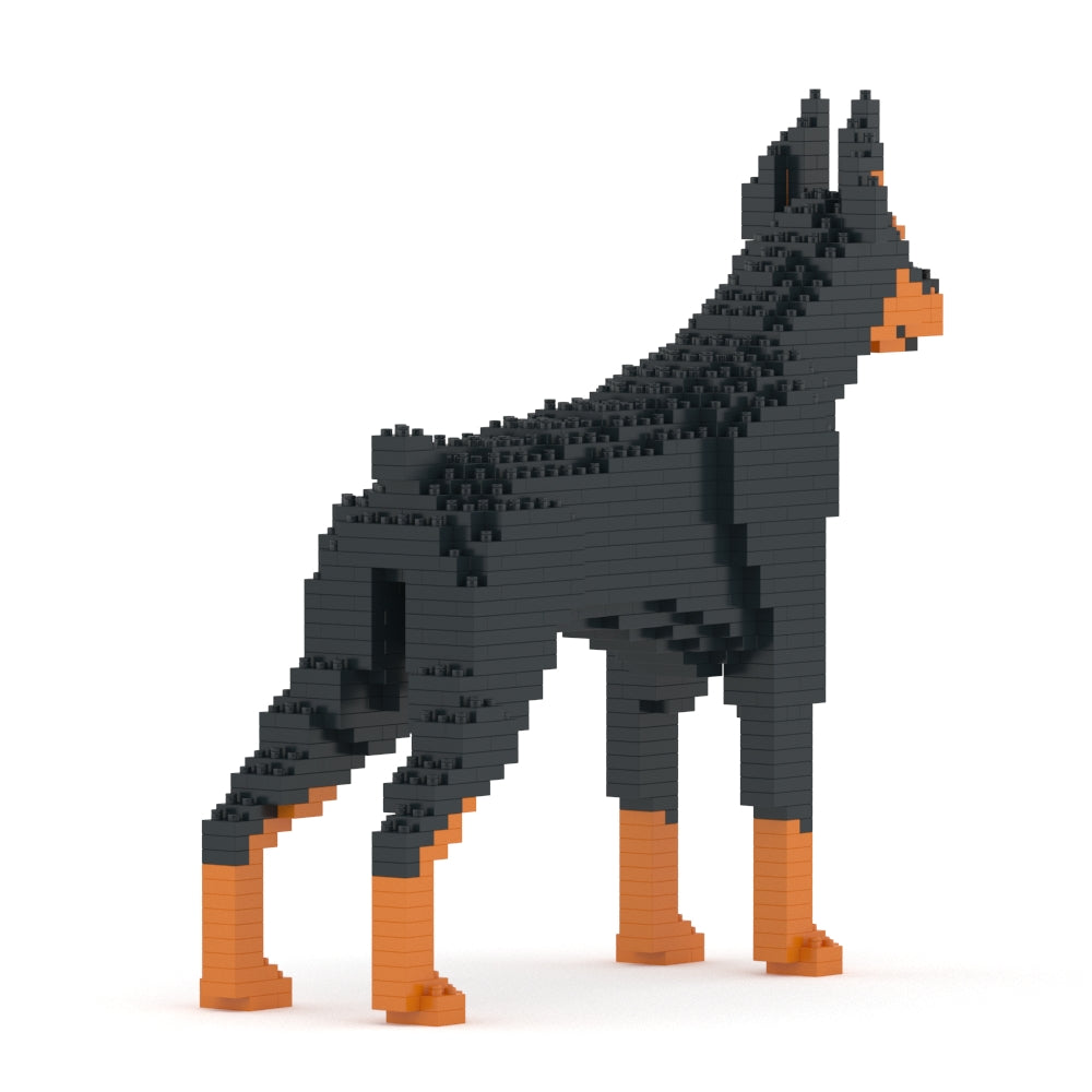 Dóberman Pinscher 01-M01