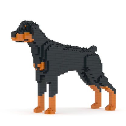 Dóberman Pinscher 01-M01