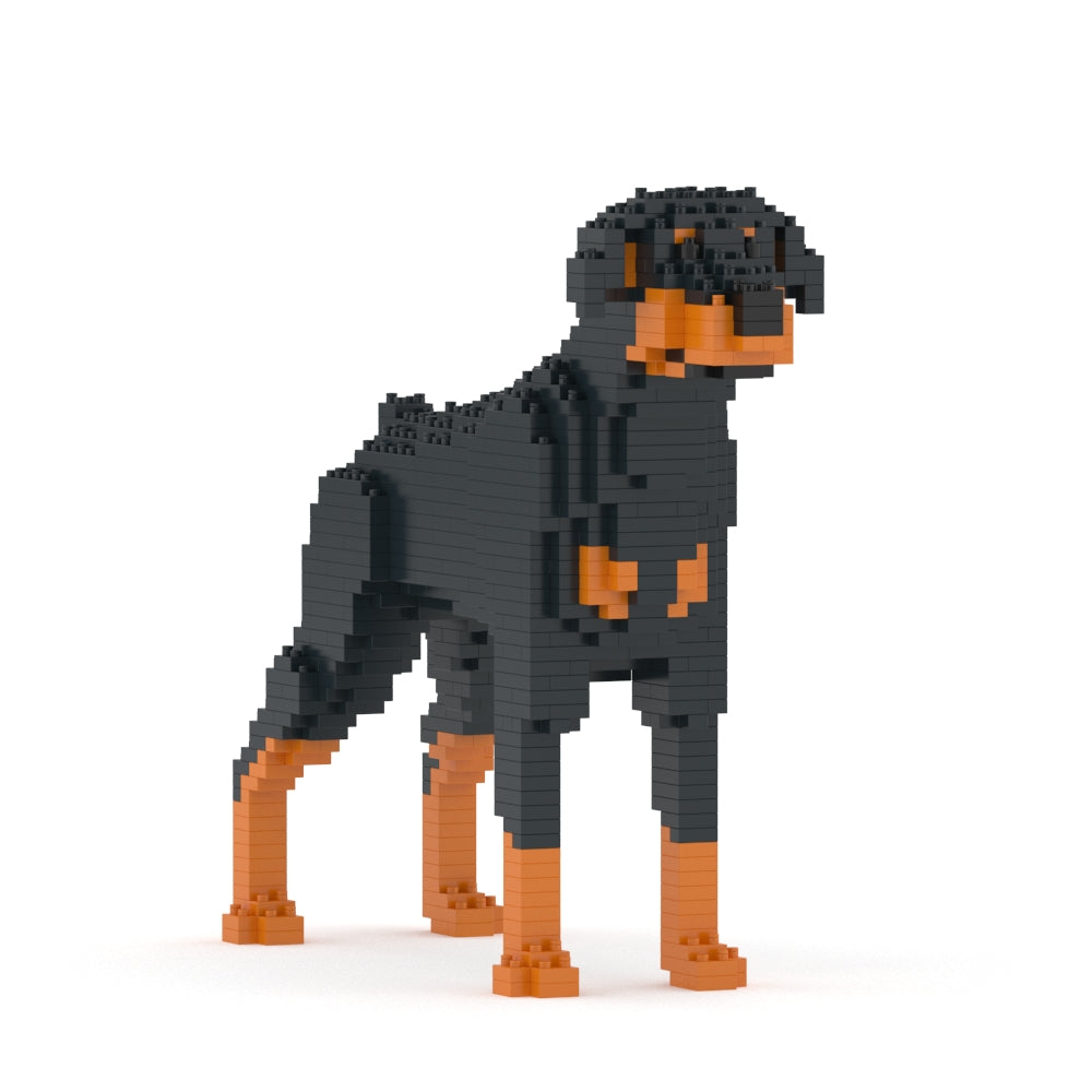 Dóberman Pinscher 01-M01