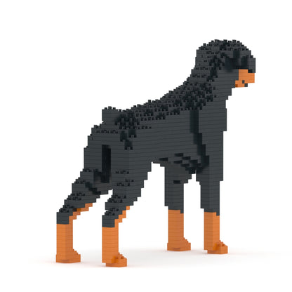 Dóberman Pinscher 01-M01