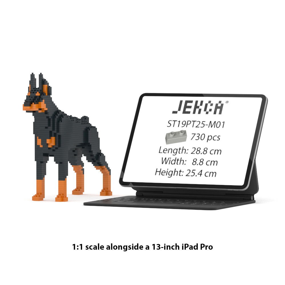 Dóberman Pinscher 01-M01