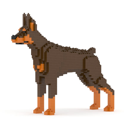 Dóberman Pinscher 01-M02