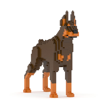 Dóberman Pinscher 01-M02