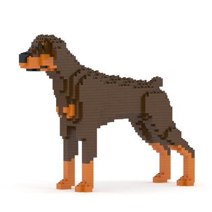 Dóberman Pinscher 01-M02