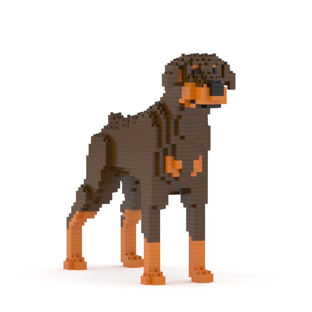 Dóberman Pinscher 01-M02