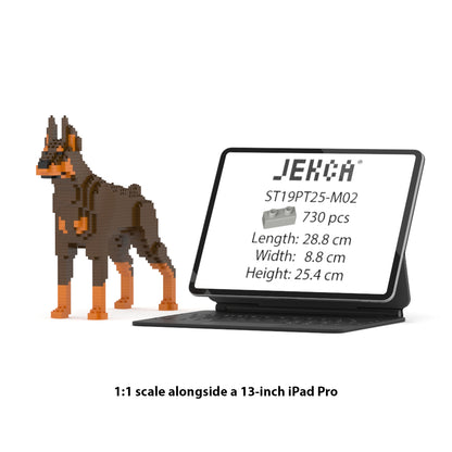 Dóberman Pinscher 01-M02