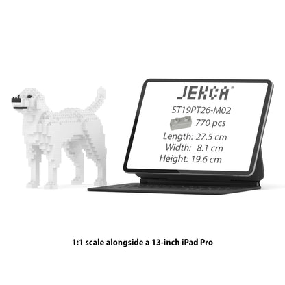 Labrador Retriever 01-M02