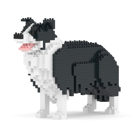 Border Collie 01-M01
