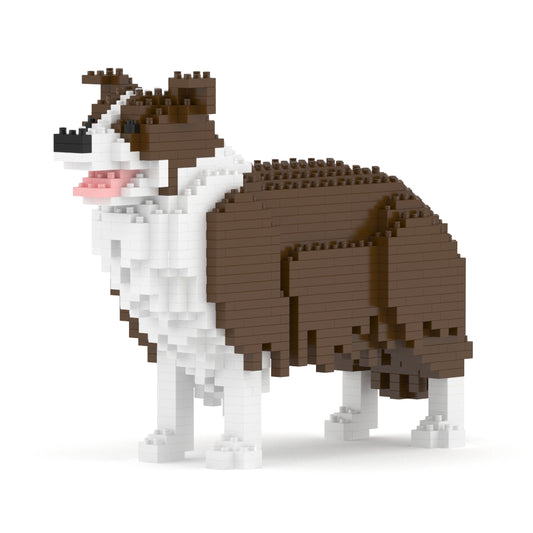 Border Collie 01-M02