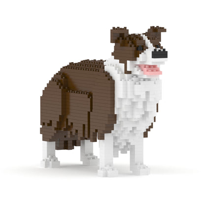 Border Collie 01-M02