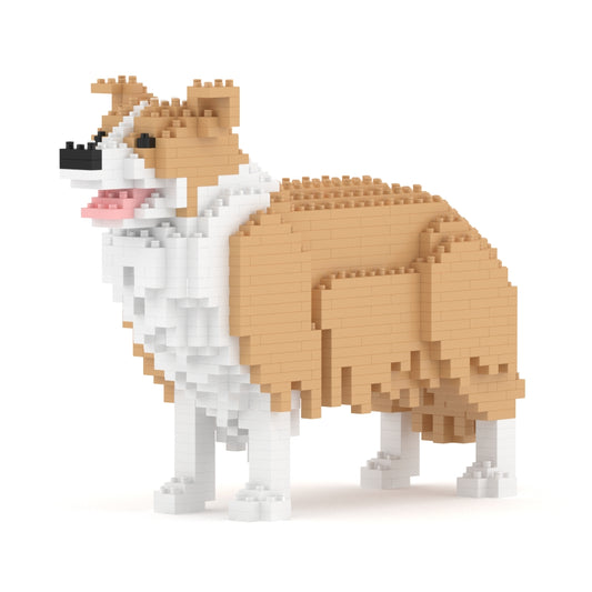 Border Collie 01-M03