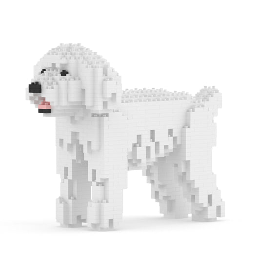 Toy Poodle 01-M01