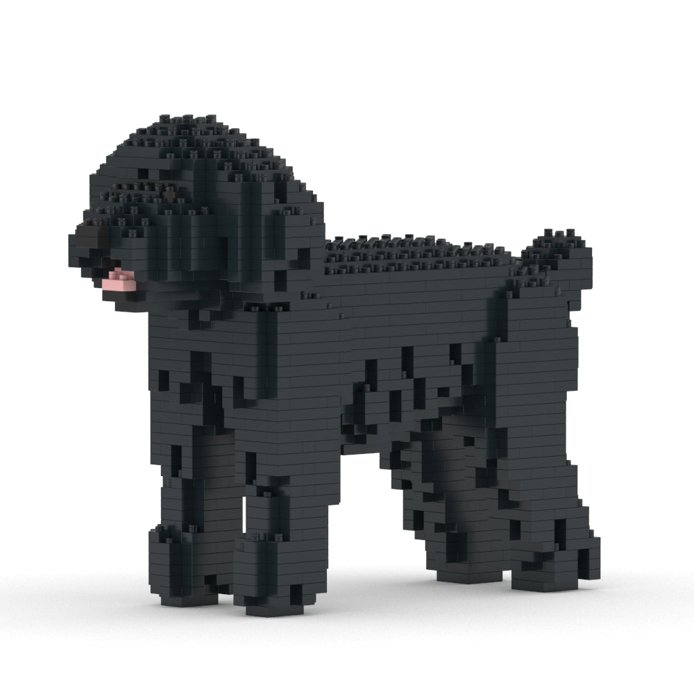 Caniche Toy 01-M02