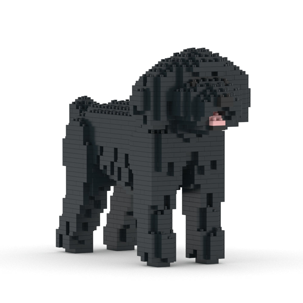 Caniche Toy 01-M02