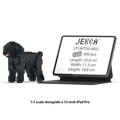 Caniche Toy 01-M02